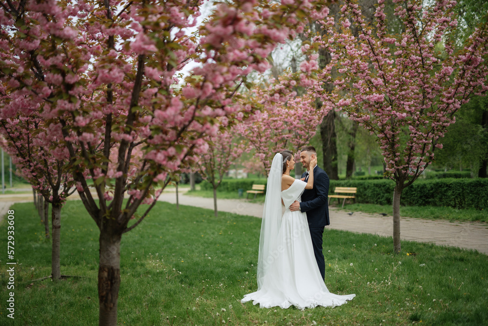 newlyweds walk in the park among cherry blossoms newlyweds walk in the park among cherry blossoms