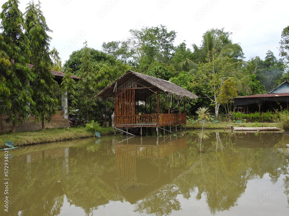 Wooden house in the middle of the pond Wooden house in the middle of the pond