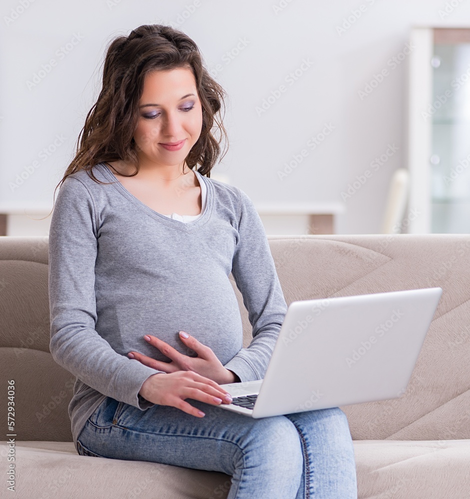 Naklejka premium Pregnant woman working on laptop sitting on sofa