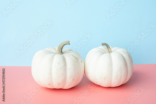 Autumn pumpkins creative layout. Halloween or Thanksgiving holiday concept.