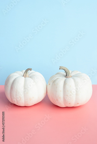 Autumn pumpkins creative layout. Halloween or Thanksgiving holiday concept.