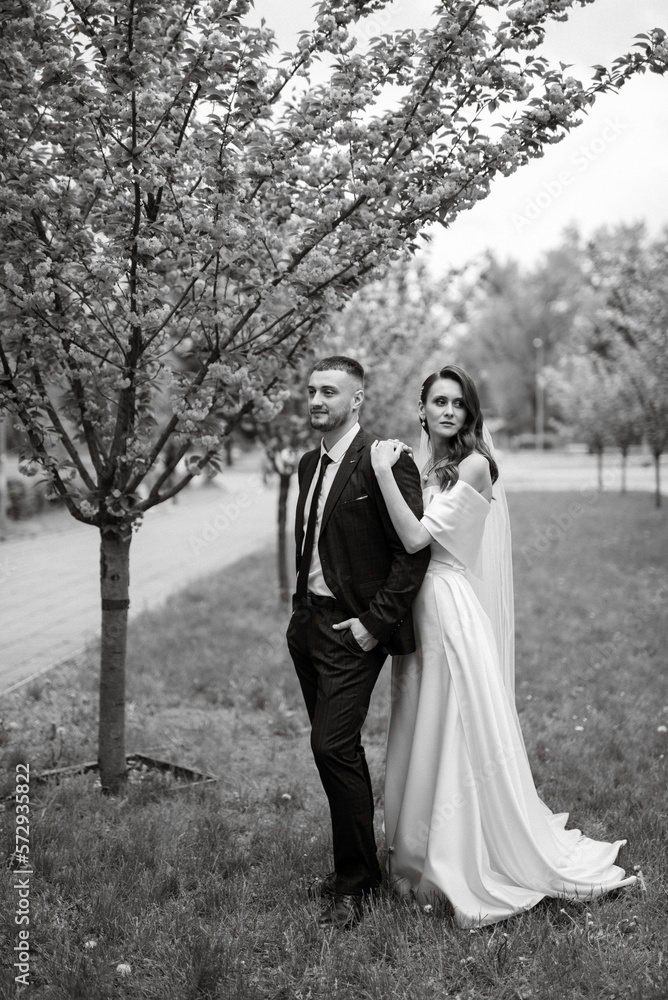 newlyweds walk in the park among cherry blossoms newlyweds walk in the park among cherry blossoms
