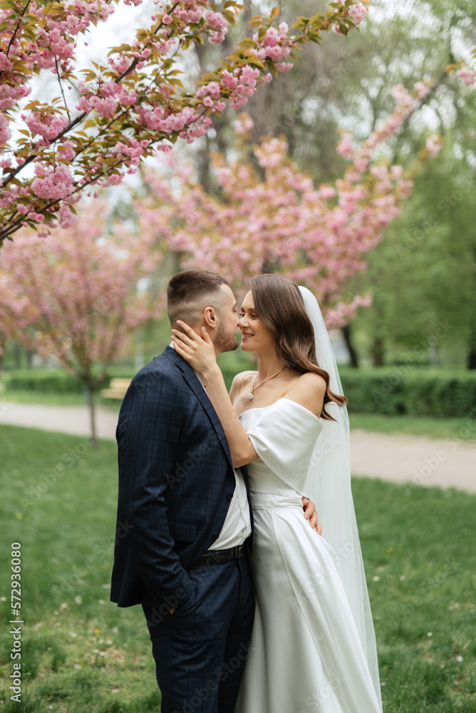 newlyweds walk in the park among cherry blossoms newlyweds walk in the park among cherry blossoms
