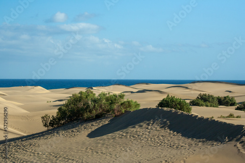 Fototapeta Naklejka Na Ścianę i Meble -  Desert dunes in Southern Las Palmas, Spain