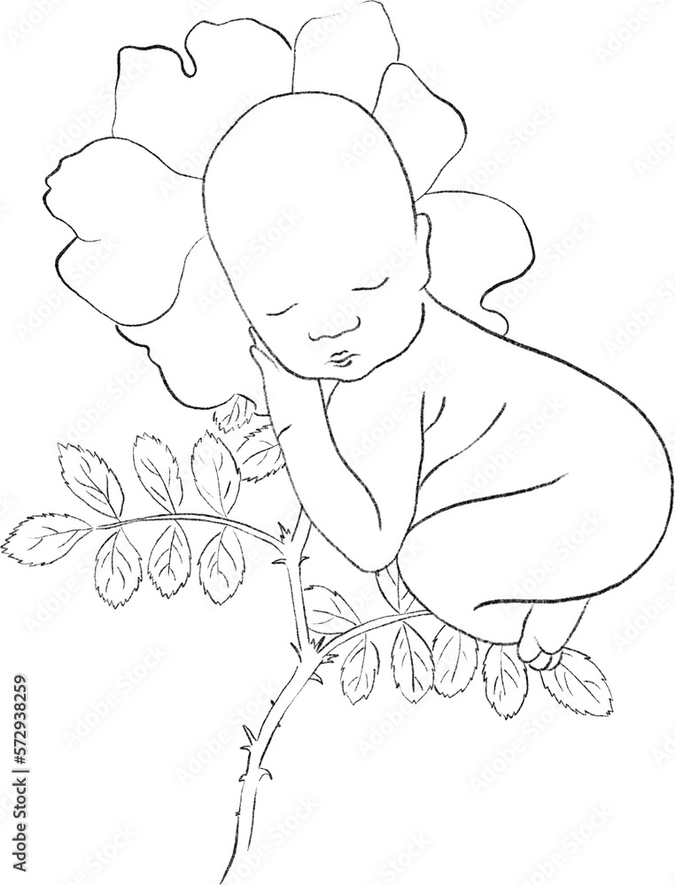 Flower's Newborn Line Arts Clipart with sleeping babies, rose, sunflower, iris, sunflower, hydrangea, tulip, lilac, magnolia and more. Perfect for baby shower, milestone cards, nursery decor Flower's Newborn Line Arts Clipart with sleeping babies, rose, sunflower, iris, sunflower, hydrangea, tulip, lilac, magnolia and more. Perfect for baby shower, milestone cards, nursery decor