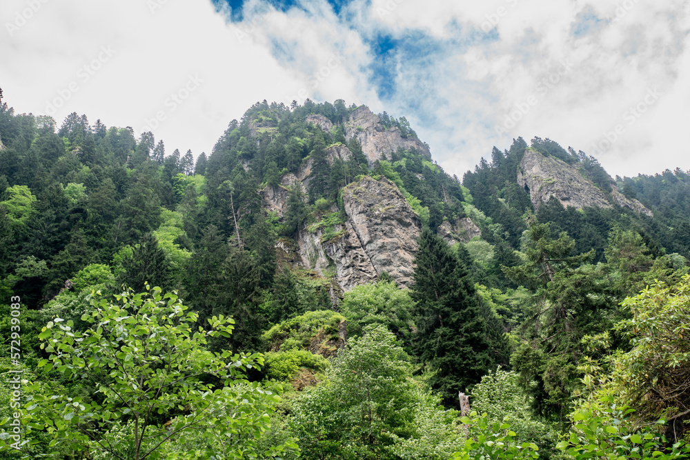 Perfect mountain views. Camlihemsin Rize. Perfect mountain views. Camlihemsin Rize.