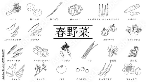 春の野菜のベクター線画イラストセット Spring vegetables. Vector line drawings set.