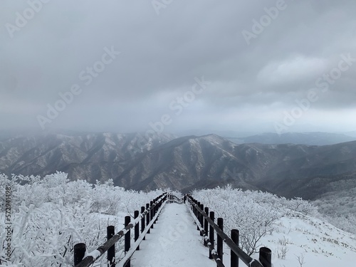 a view from the top of a snowy mountain 2