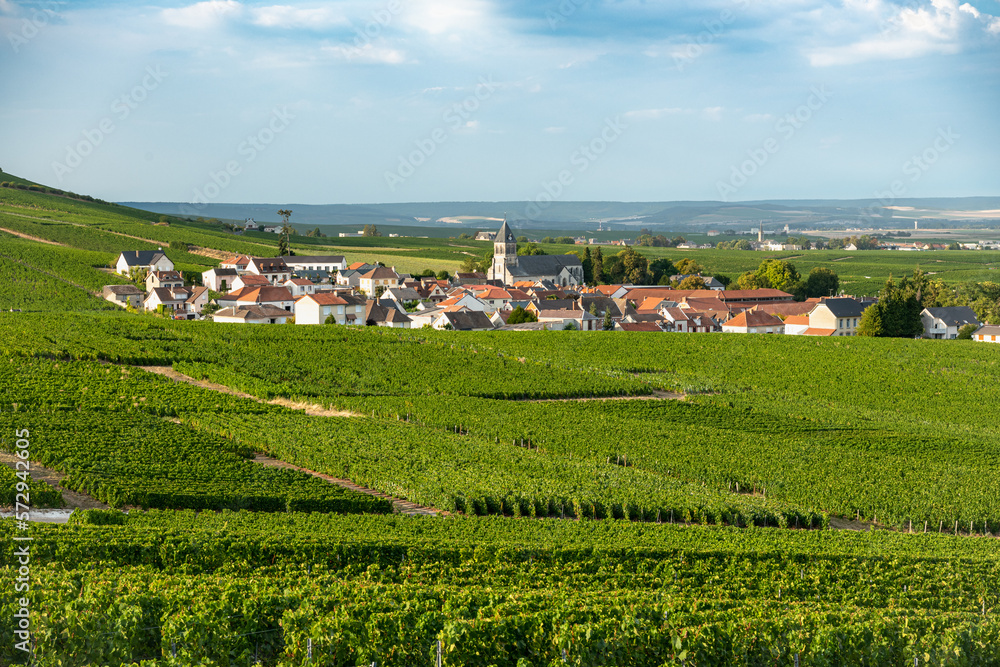 Village de Oger en Champagne à la saisons des vendanges. Vue panoramique sur les vignes