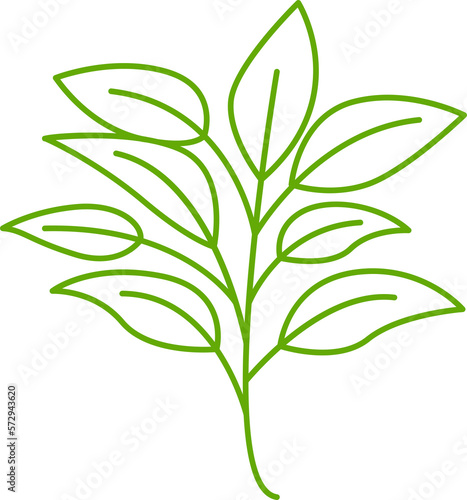 leaves and branch line illustration