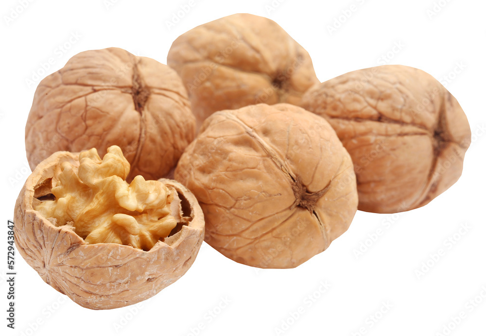 Walnut Walnut