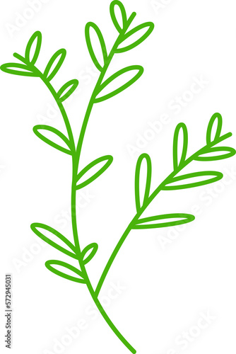 decorative leaves line illustration