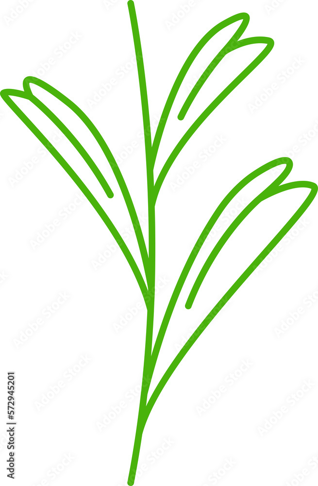 decorative leaves line illustration decorative leaves line illustration