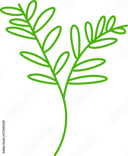 decorative leaves line illustration