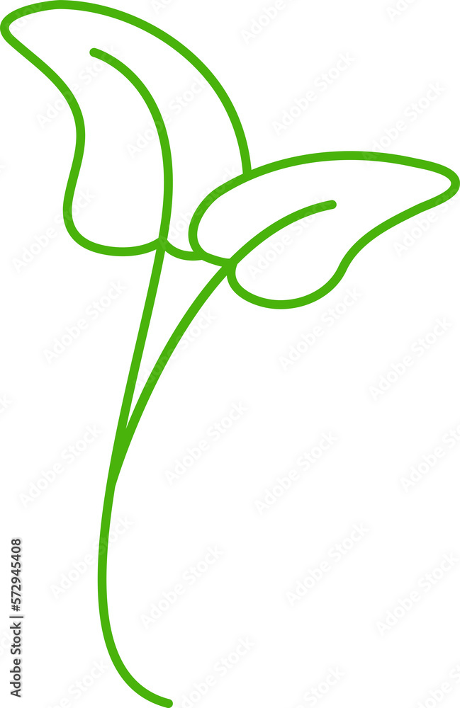 decorative leaves line illustration