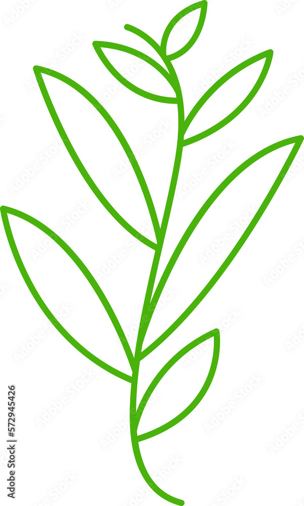 Fototapeta premium decorative leaves line illustration