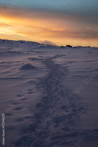 Path in snowy mountains