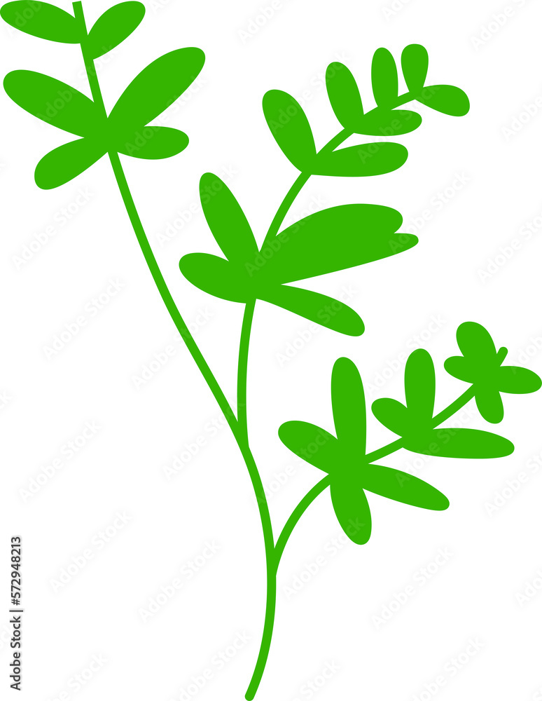 green leaves and branch illustration green leaves and branch illustration