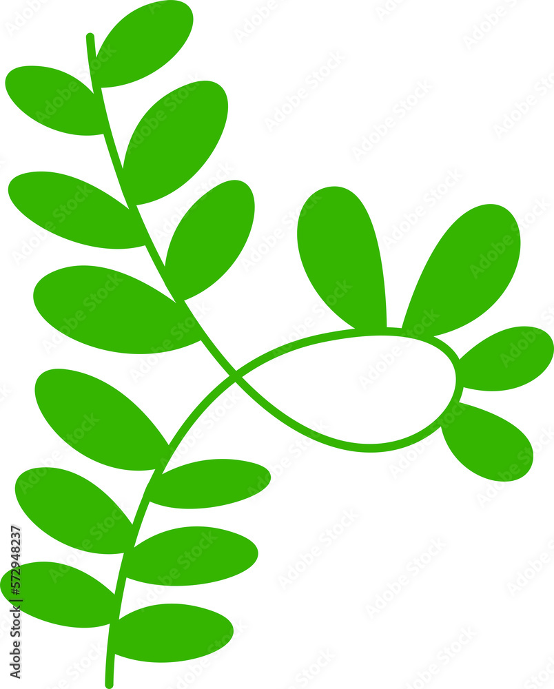 green leaves and branch illustration green leaves and branch illustration