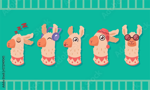 five llamas animals heads
