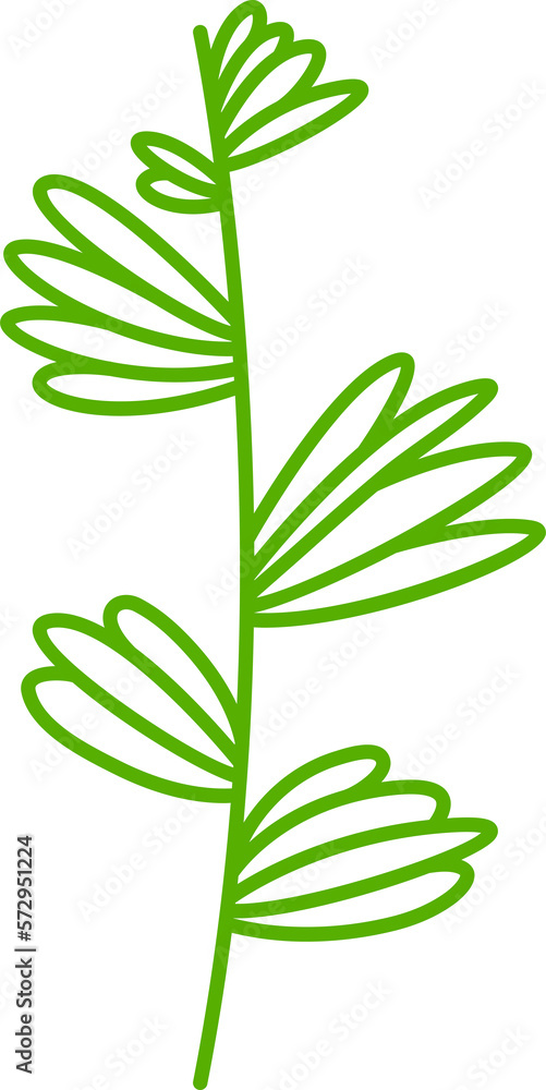 leaves and plant line illustration leaves and plant line illustration