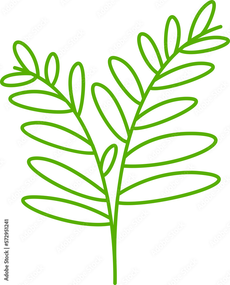 leaves and plant line illustration leaves and plant line illustration