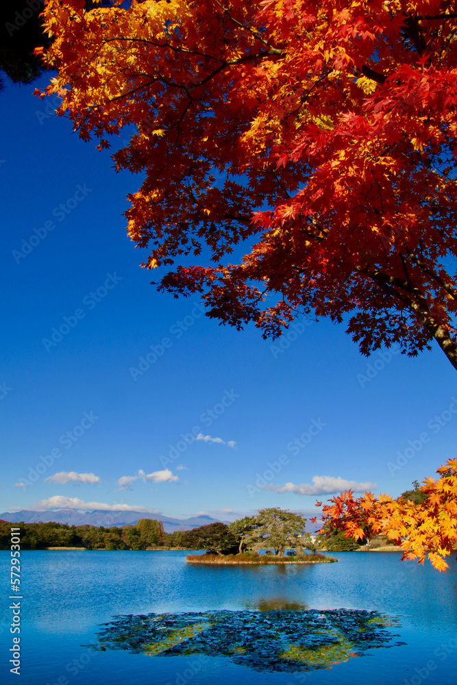 秋の南湖公園（福島県・白河市）