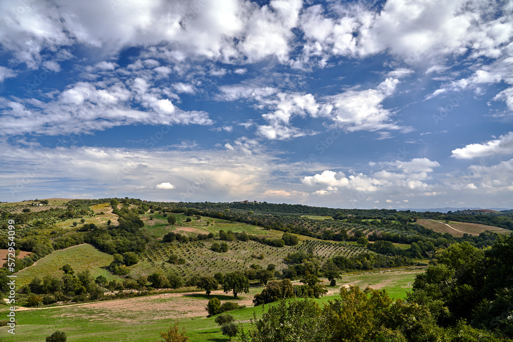 Agricultural landscape with olive and vine plantations and the towers of the city on the hill in Tuscany