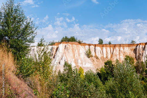 Summer landscape: a former pit called the White Well near the city of Voronezh