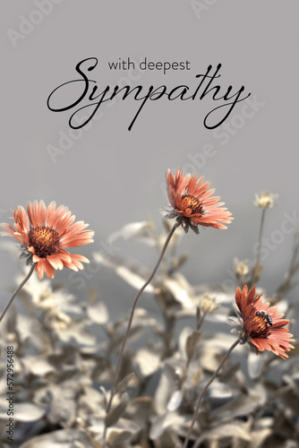 Sympathy card with gaillardia flowers