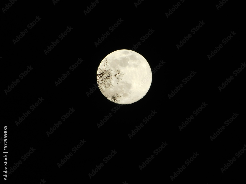 Fototapeta premium full moon in the night sky