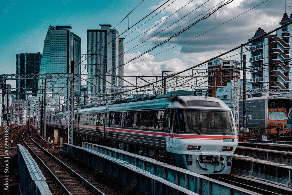 Fototapeta premium JR東海 キハ85系「ワイドビューひだ」