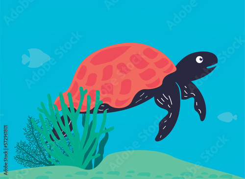 turtle swiming and algaes