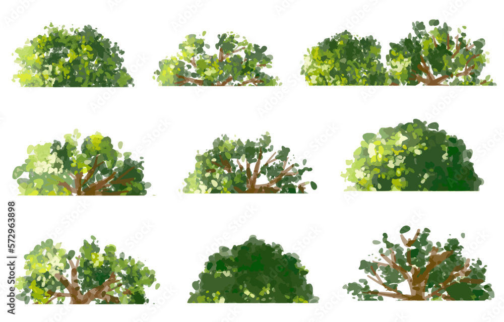 Fototapeta premium Vector watercolor of tree side view isolated on white background for landscape and architecture drawing, elements for environment and garden, painting botanical for section and elevation 