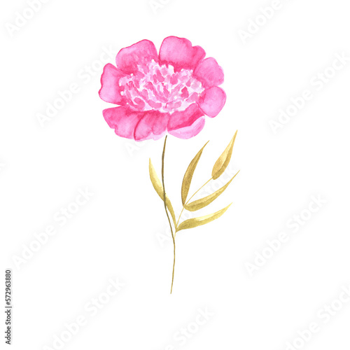 peony flower watercolor decoration for invitation