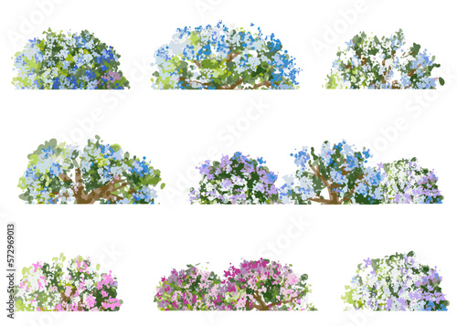 Vector watercolor blooming flower tree side view isolated on white background for landscape and architecture drawing, elements for environment and garden,botanical elements for section in spring