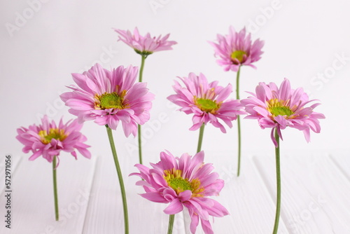 Pink daisy flowers on white wooden background © Olga