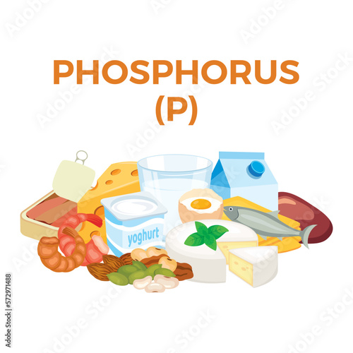 Phosphorus (P) in food icon vector. Phosphorus food sources vector illustration isolated on a white background. Milk, egg, cheese, nuts, seafood vector. Pile of healthy fresh food drawing