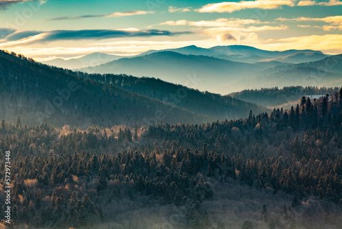 Fototapeta Naklejka Na Ścianę i Meble -  Awsome morning over the winter mountain forest, Bieszczady Mountains, Poland