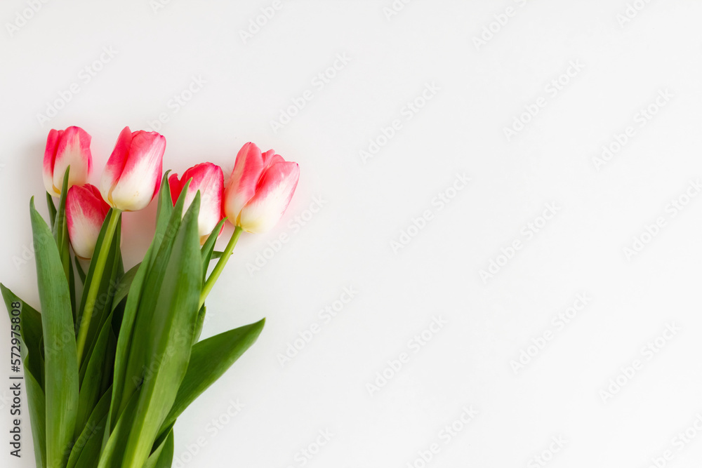 Pink tulip flowers bouquet on white background. Flat lay, top view. Selective focus. Shallow depth of field. Banner