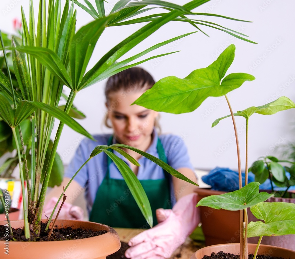 Young female gardener with plants indoors