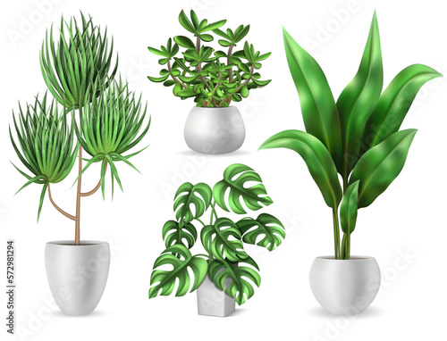 Houseplants Realistic Set