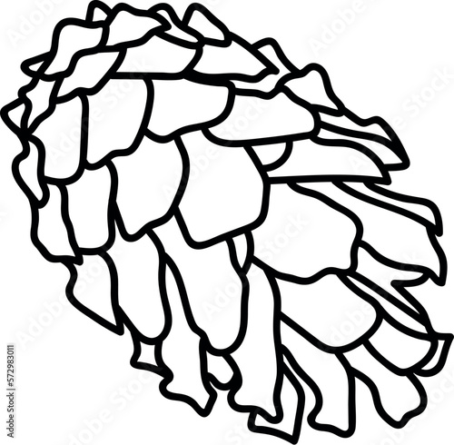 Pine cone. Vector image.
