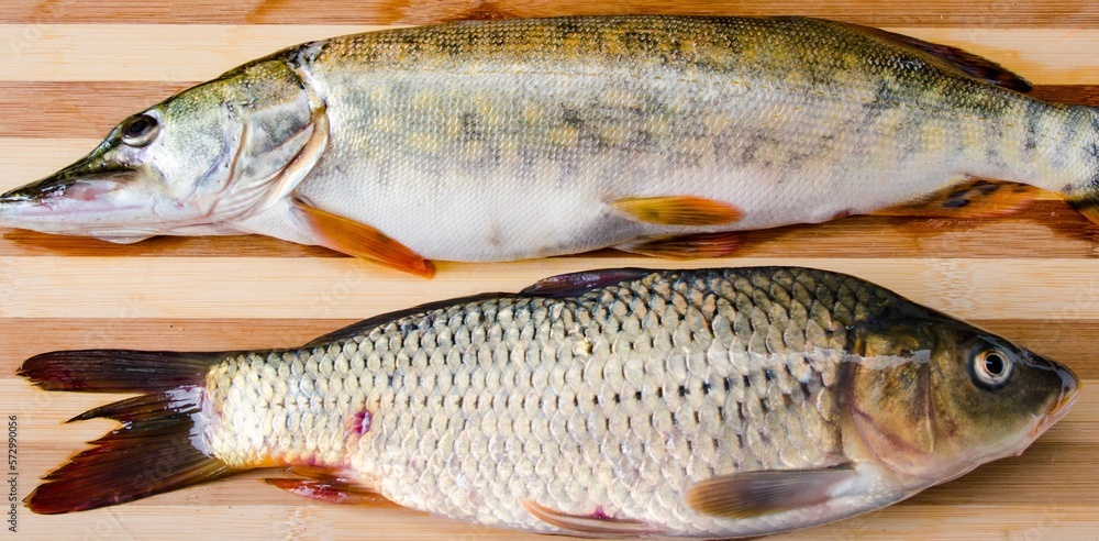 Uncooked fish on cutting board in meal preparation concept Uncooked fish on cutting board in meal preparation concept