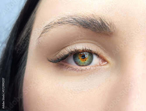 close up of women's eye with eyelash extensions in beauty salon macro eye
