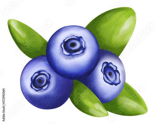 Blueberries