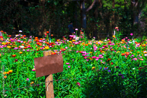A blank sign is planted in front of the flower garden.Selective focus and blur background.