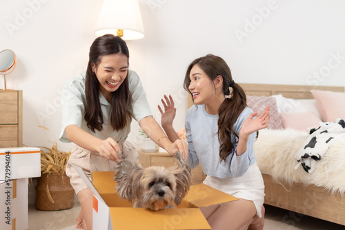 Happy young woman and friend with dog in a box. photo