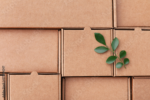 Sprout of grean leaves on recycled cardboard boxes top view. Eco, saving energy, zero waste, plastic free and environment conservation concept.