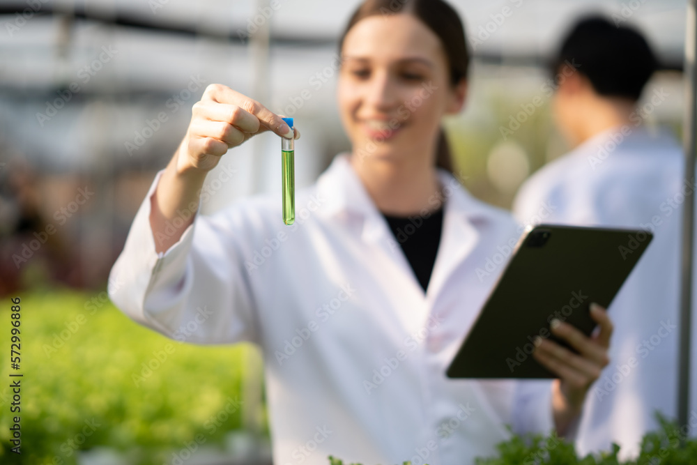 Young beautiful scientist looking at a mineral and water sample at a hydroponic.lettuce crop, holding green test tube in her hand while working. Young beautiful scientist looking at a mineral and water sample at a hydroponic.lettuce crop, holding green test tube in her hand while working.